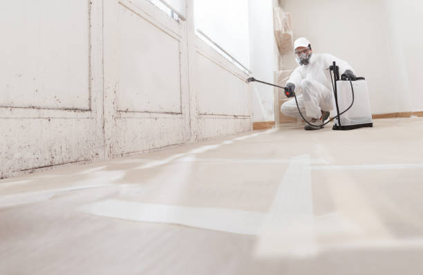 24/7 Emergency Black Mold Remediation experts in Bartlett, TX