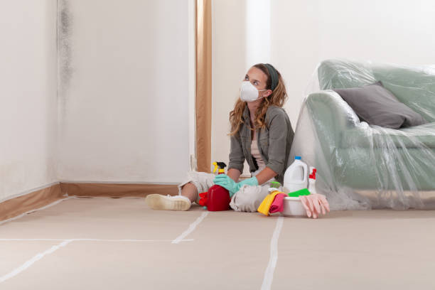 Reliable Black Mold Remediation contractor in Bartlett, TX by Mold Remediation HQ